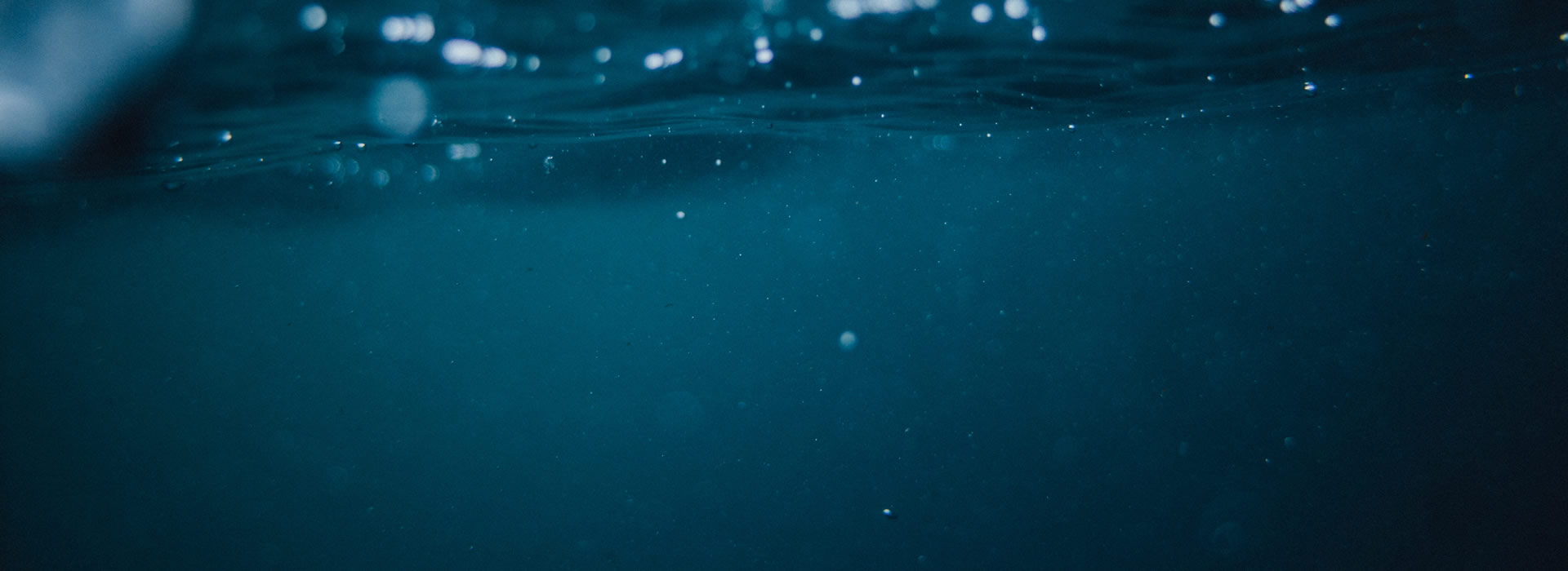 Yiming Zhang's Portfolio